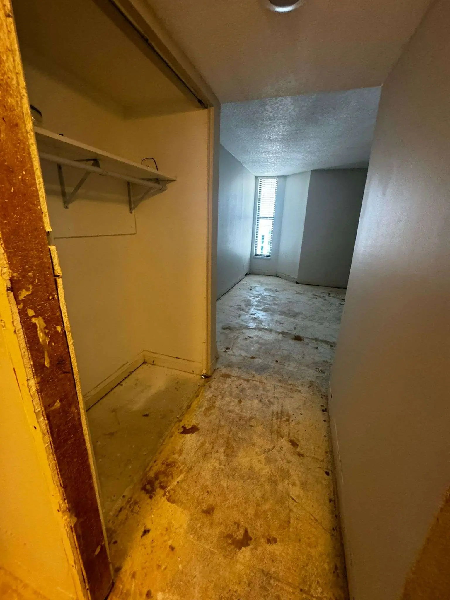 guest bedroom 2