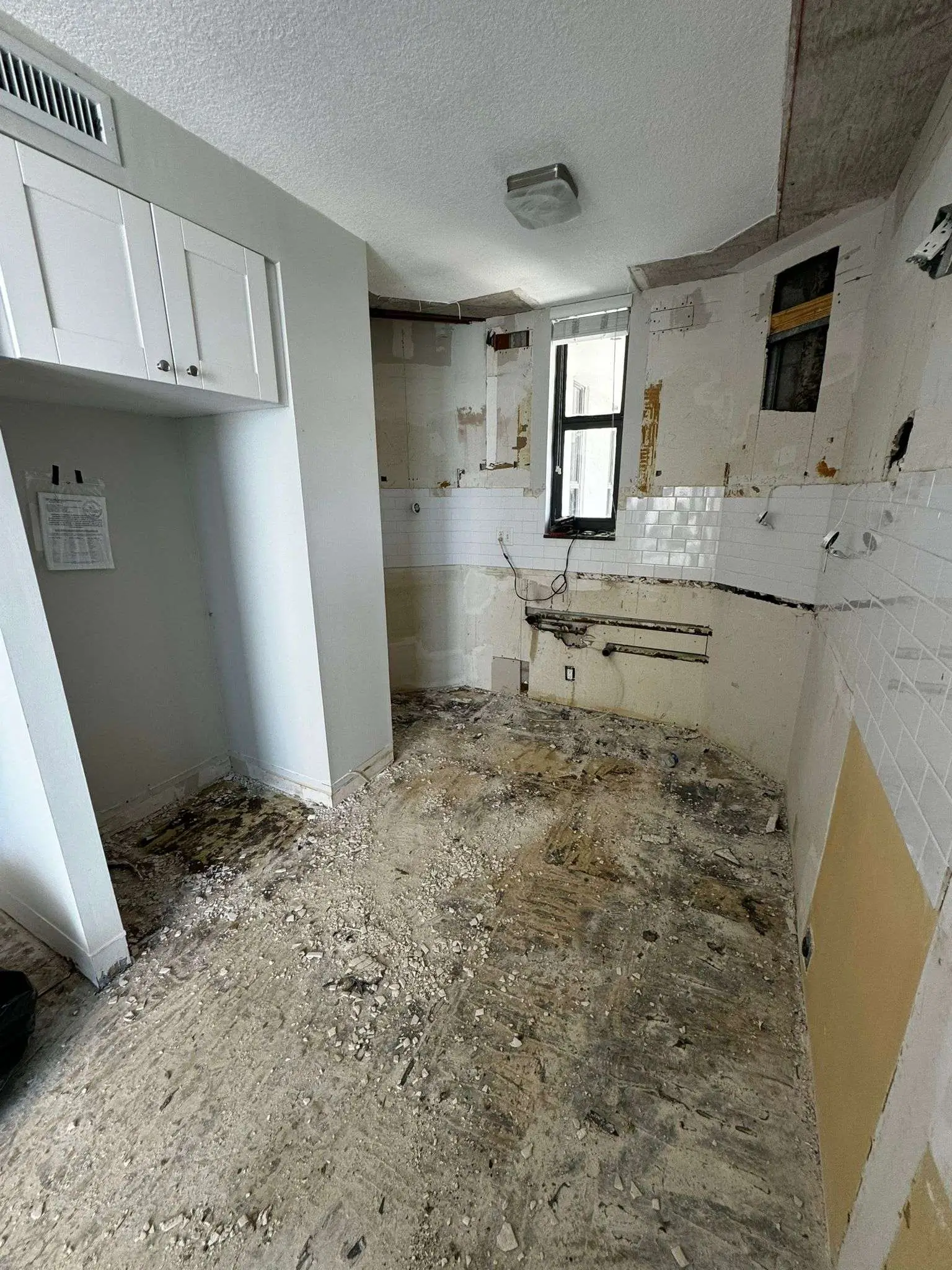 kitchen demo (1)