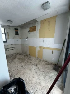 kitchen demo 2