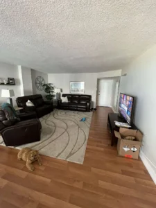 living room before picture