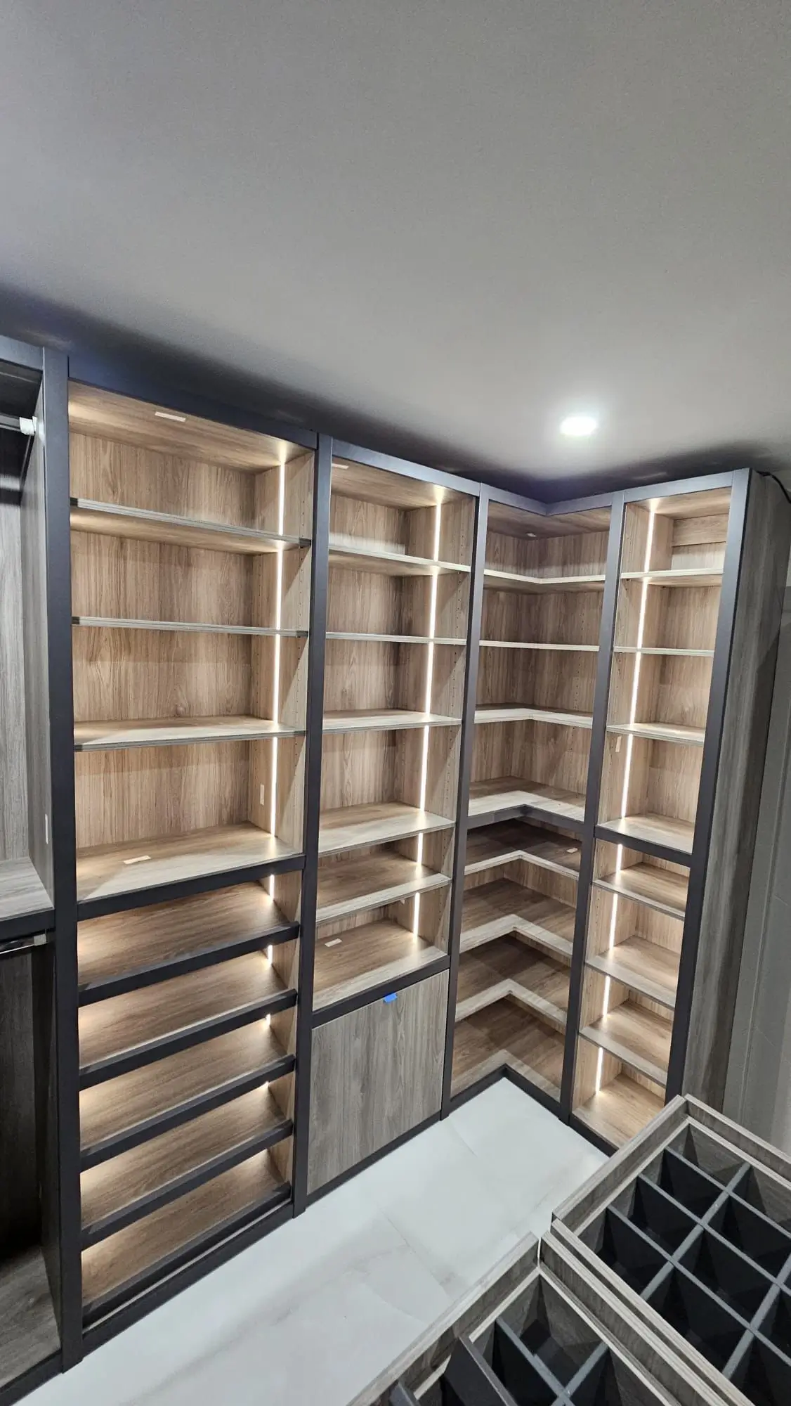 walking closet with lights and leather finish